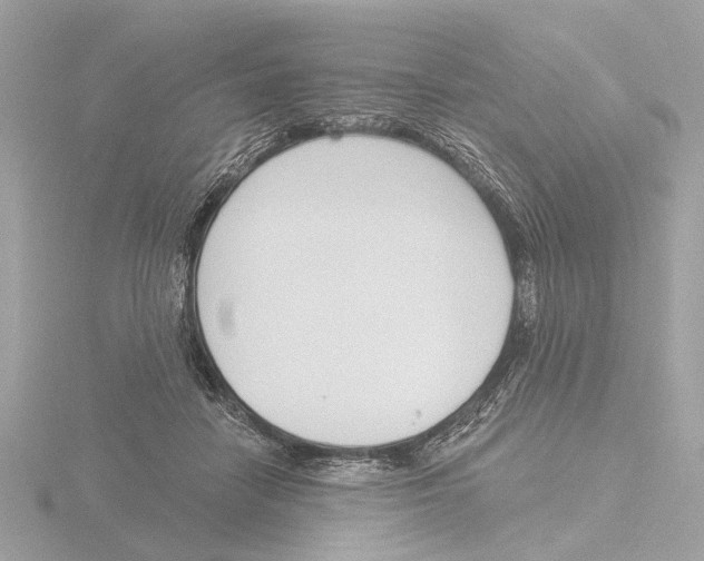 X0000116150458200912211512