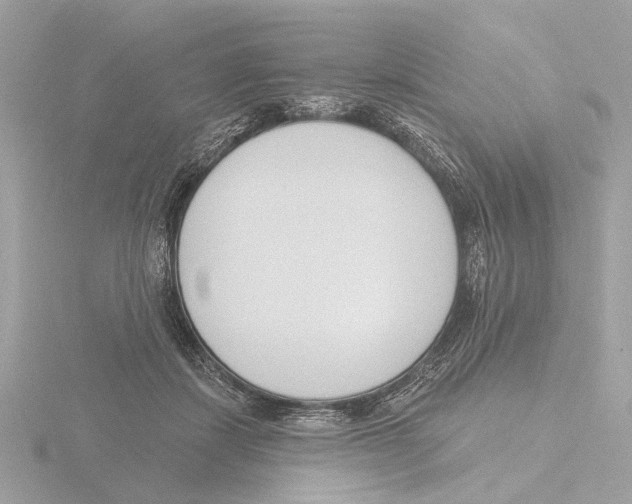 X0000116150459200912211512