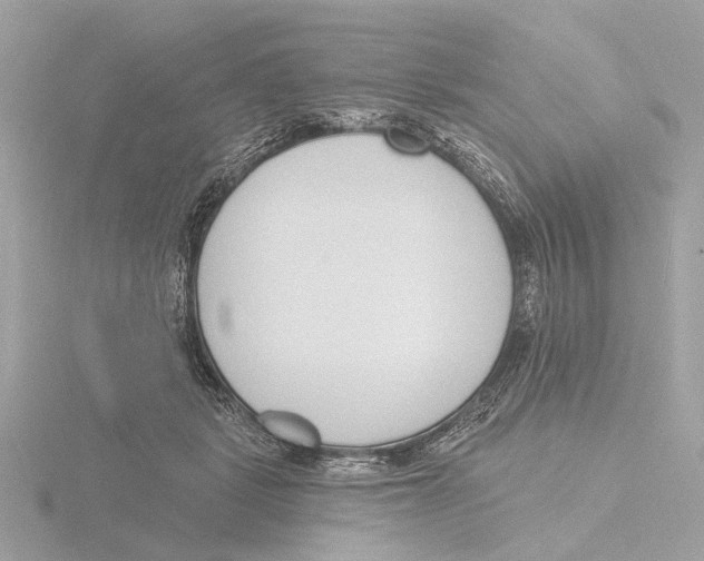 X0000116150461200912211512