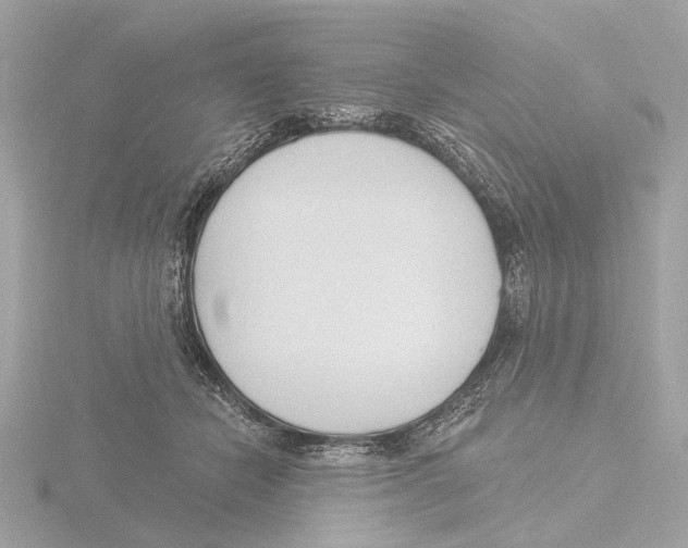 X0000116150462200912211512