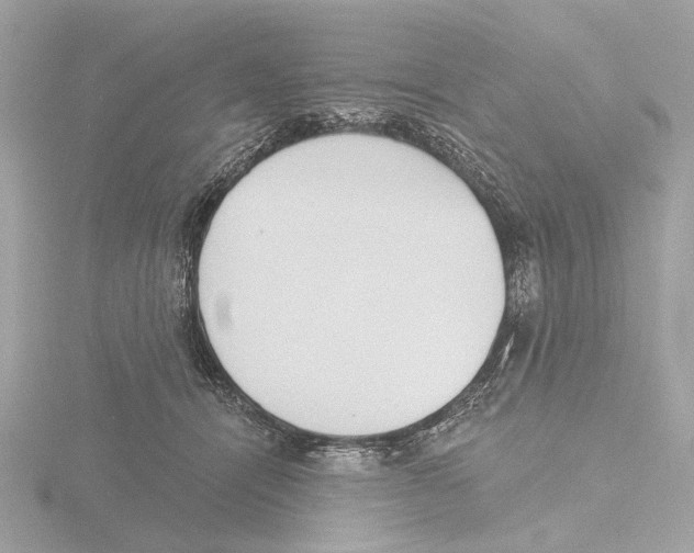 X0000116150464200912211512