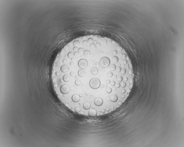 X0000116150466200912211512