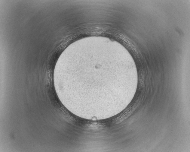 X0000116150467200912211512