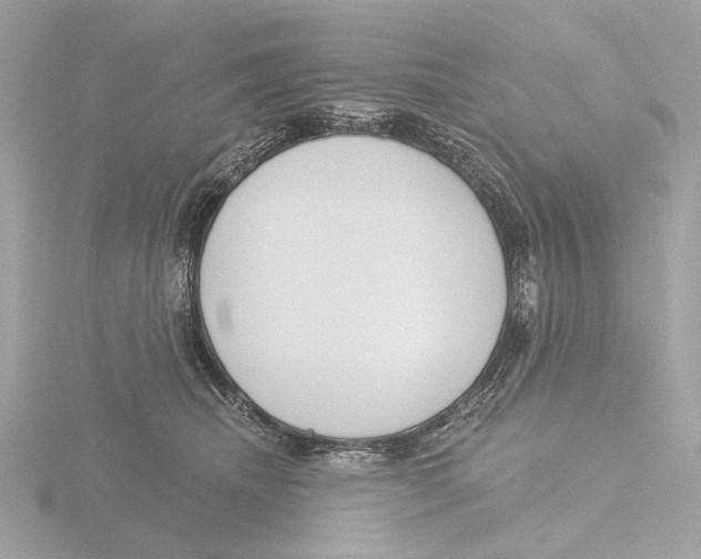 X0000116150468200912211512