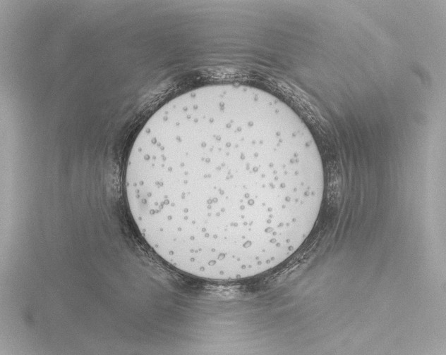 X0000116150469200912211512