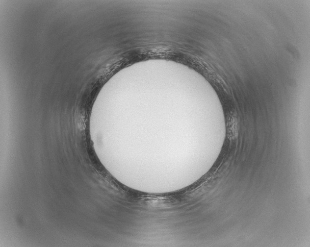 X0000116150472200912211512