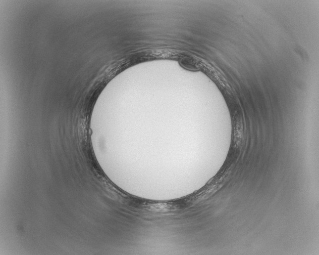 X0000116150473200912211512