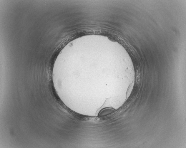 X0000116150474200912211512