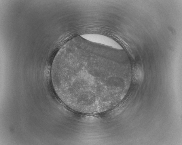 X0000116150475200912211512