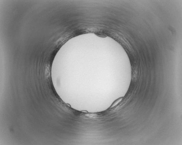 X0000116150478200912211512