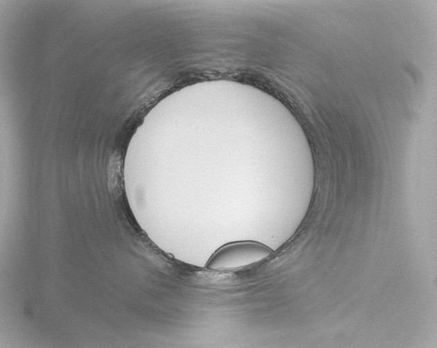 X0000116150480200912211512