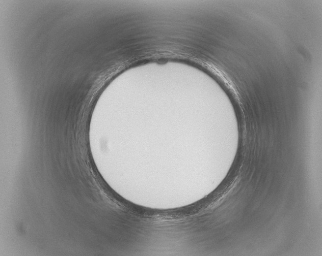 X0000116150481200912211512