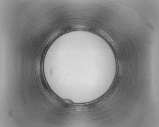 X0000116150482200912211512