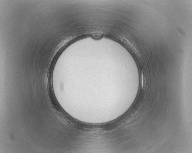 X0000116150483200912211512