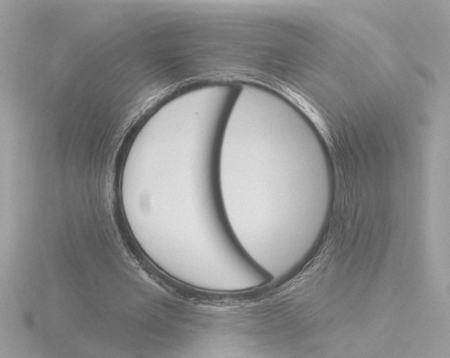 X0000116150485200912211511