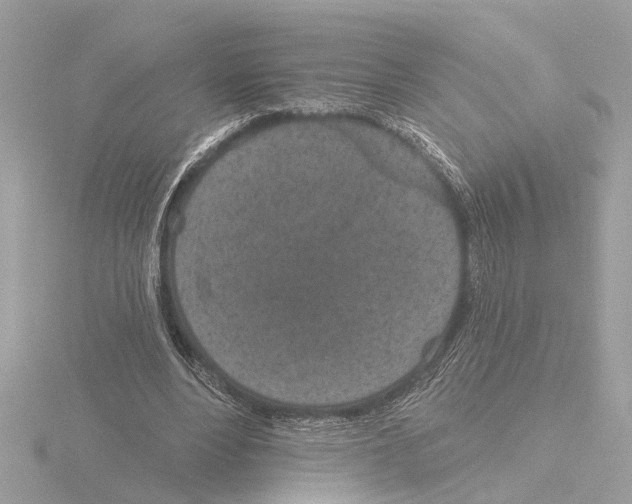 X0000116150488200912211511