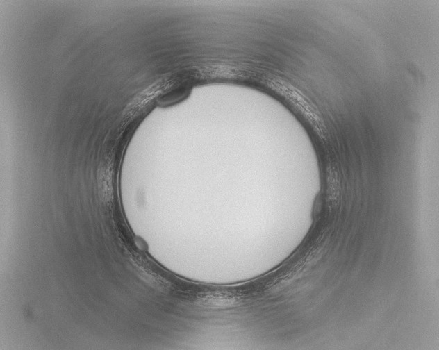 X0000116150489200912211511