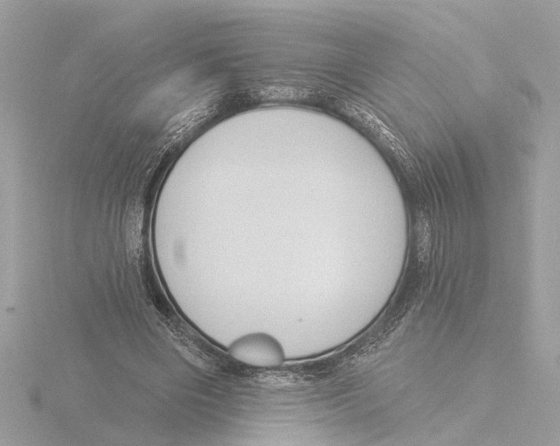 X0000116150490200912211511