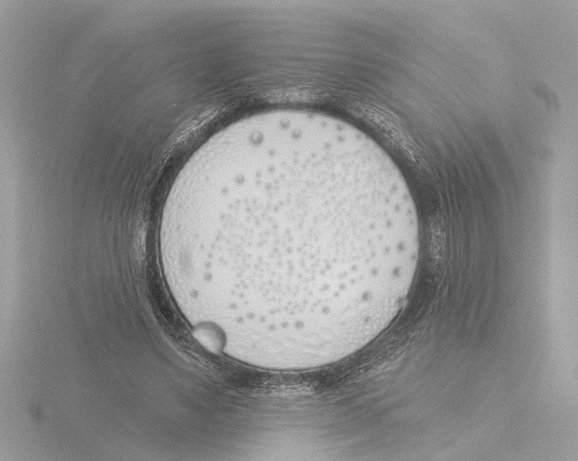 X0000116150491200912211511