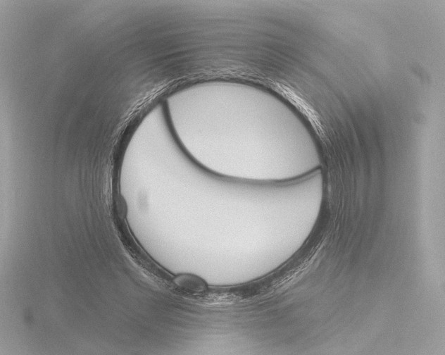 X0000116150493200912211511