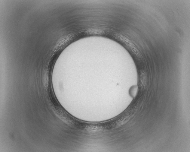 X0000116150494200912211511