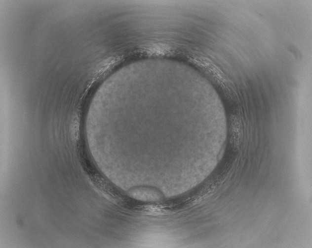 X0000116150496200912211511