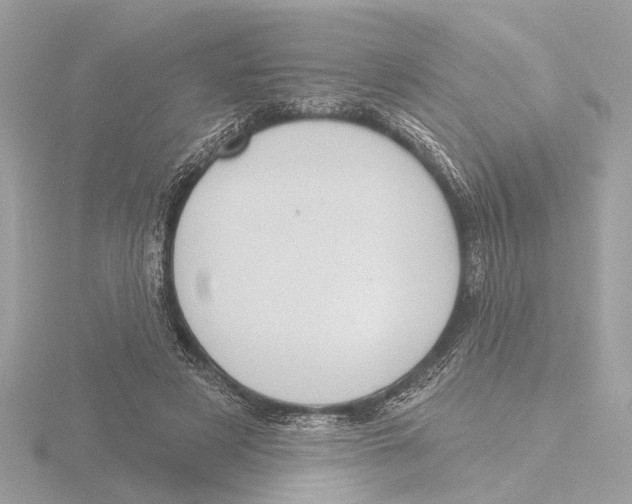 X0000116150497200912211511