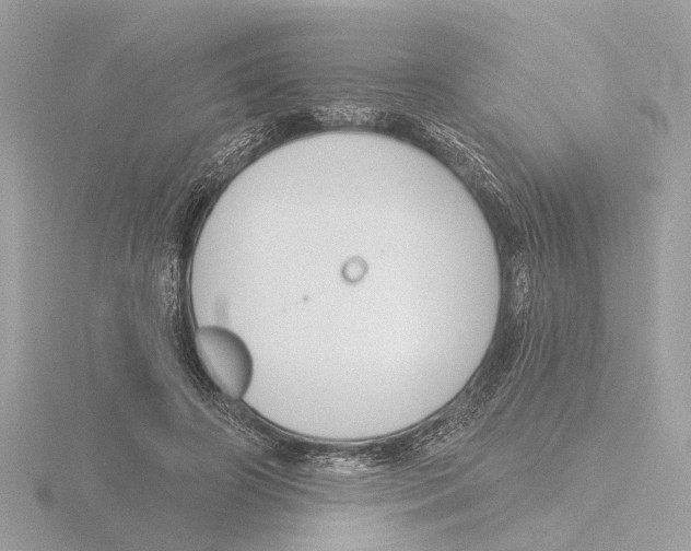 X0000116150498200912211511