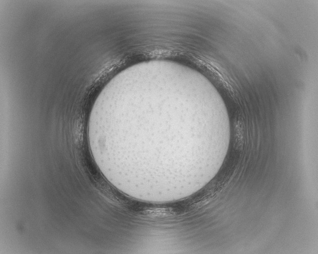 X0000116150499200912211511