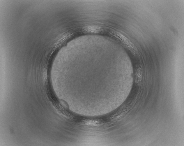 X0000116150500200912211511