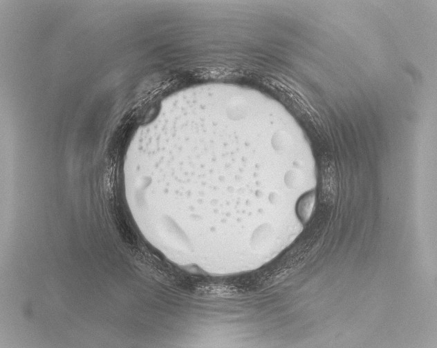 X0000116150503200912211511