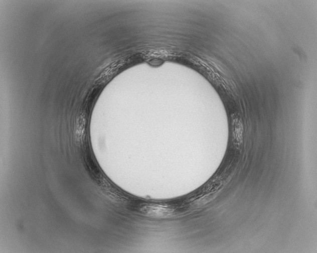 X0000116150507200912211511