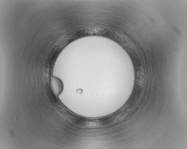 X0000116150510200912211511