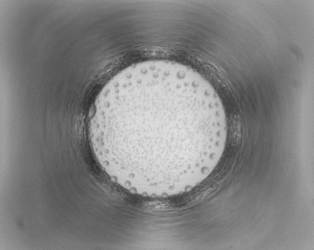 X0000116150511200912211511