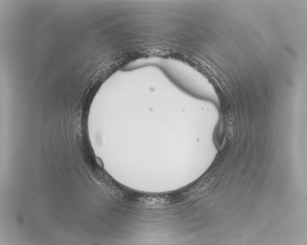 X0000116150512200912211511