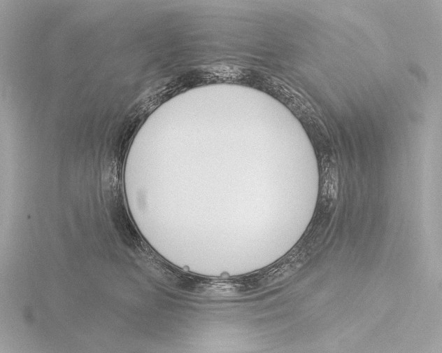 X0000116150518200912211511