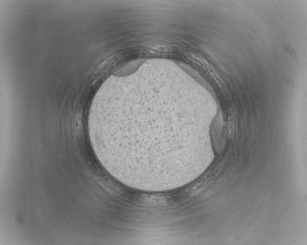 X0000116150520200912211511