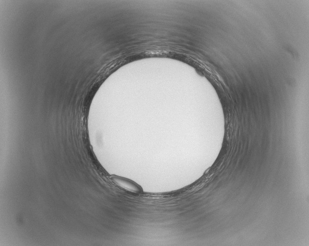 X0000116150521200912211511