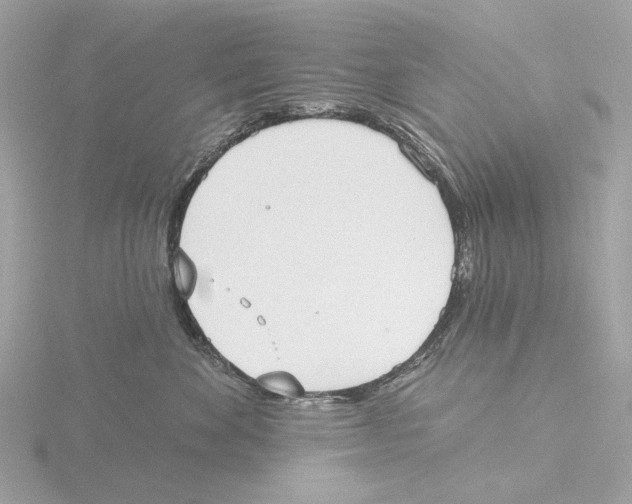 X0000116150524200912211511