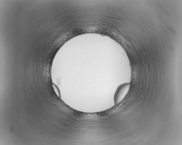 X0000116150525200912211511