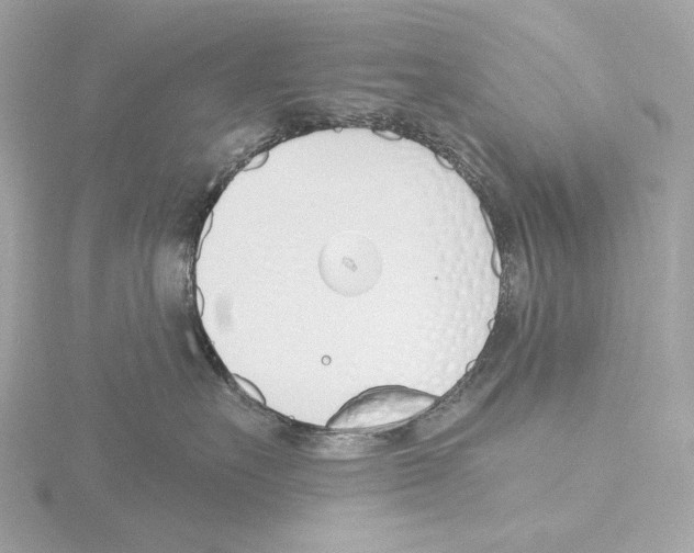 X0000116150527200912211511