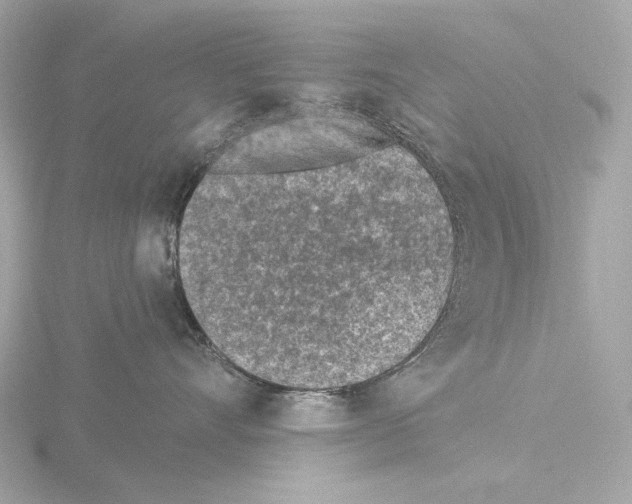 X0000116150528200912211511