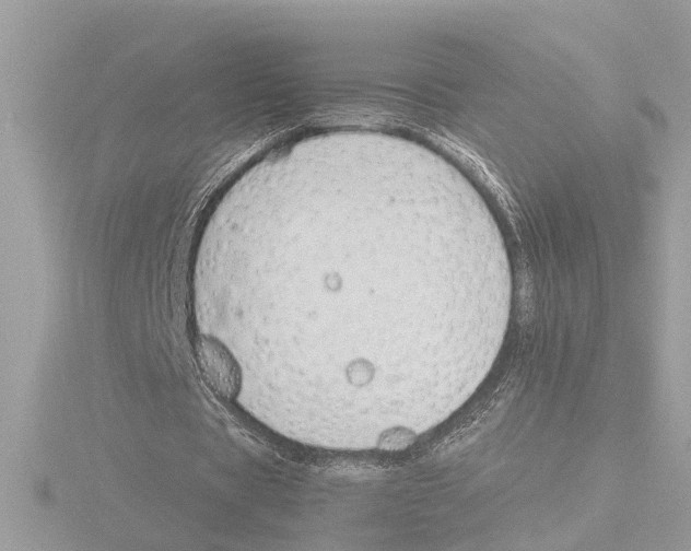 X0000116150529200912211510