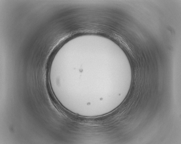 X0000116150534200912211510