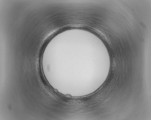 X0000116150535200912211510