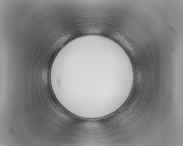 X0000116150537200912211510