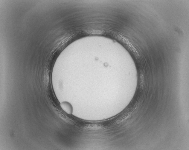 X0000116150541200912211511