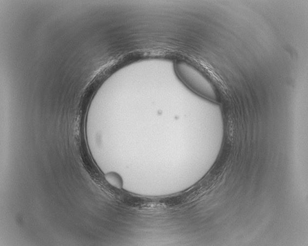 X0000116150543200912211511