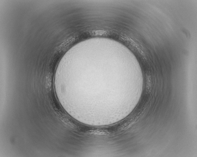 X0000116150545200912211511