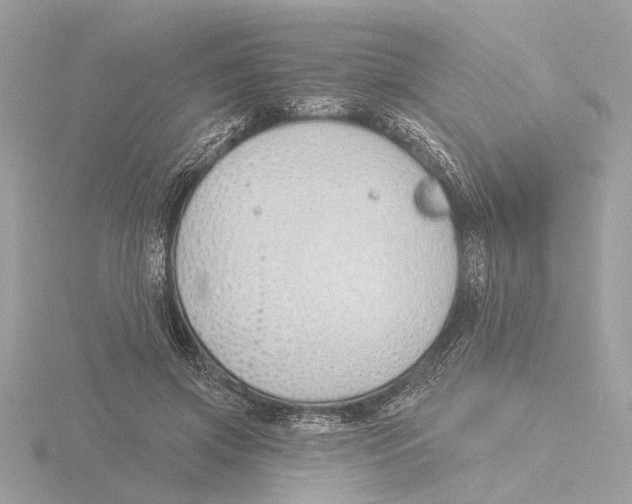 X0000116150549200912211511